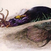 Black-Silt-Horror.jpg