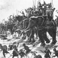 elephant, war 001.jpg