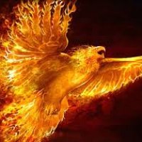 phoenix 001.jpg