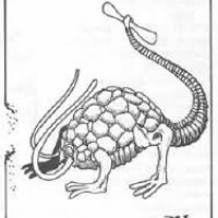 rust monster 002.jpg