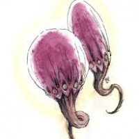 xantravar 001.jpg