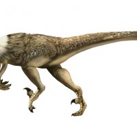 Karen_Carr_Royal_Tyrrell_velociraptor_detail.jpg