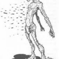needleman 001.jpg