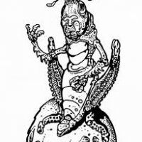 pernicon 001.jpg