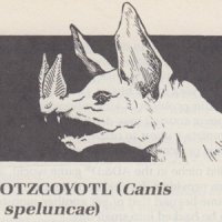 Xotzcoyotl.jpg