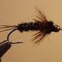 nymph 003.jpg