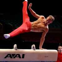 Body handspin gymastics pomel horse.png