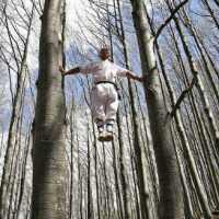Climb wallbounding trees.png