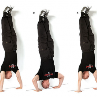 Body pushups form.png