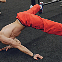 Body pushups handspin.png