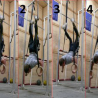 Body pushups rings gymnastics form.png