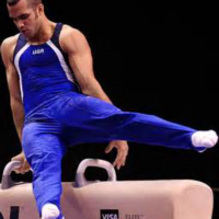 Body pushspin gymnastics pommel horse.png