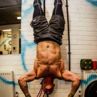 Body pushups grips.png
