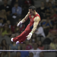 Body spring gymnasitcs highbar danell-leyva.png