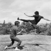 Attack highjump bruce-lee.png