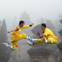 Attack highjump kick kungfu duo.png