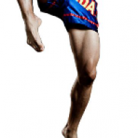 Attack highjump kick.png