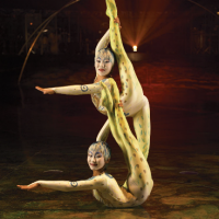 Dexterity contortion - Pic Camirand - Costume Credit Dominique Le.png