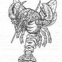 garbug 001.jpg