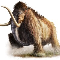 wooley_mammoth_by_critical_dean.jpg