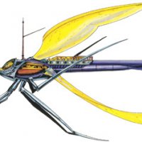 dragonfly.jpg