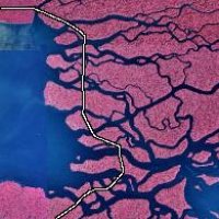 everglades2b.jpg