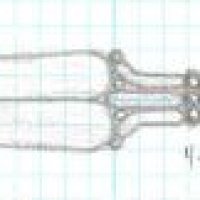 spear08.jpg
