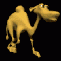 camel_walking.gif