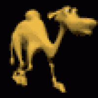 camel.gif
