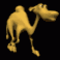 camel_walking.gif