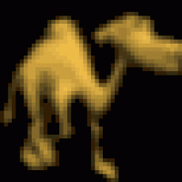 camel_walking2.gif