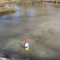 gnomeonthinice.jpg