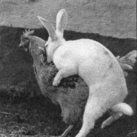 how_the_easter_eggs_are_really_made.jpg