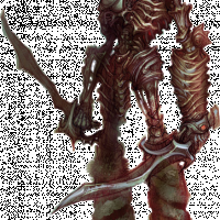 Karrnathi%20Skeleton%2001b.png