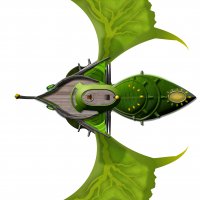elven-warbird-spelljammer-deck-plan.jpg
