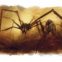 tomb spider.jpg