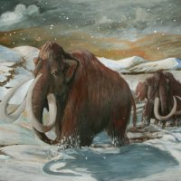 wooly_mammoth_final_by_sedeslav.jpg