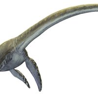 elasmosaurus-platyurus-a-prehistoric-sergey-krasovskiy.jpg