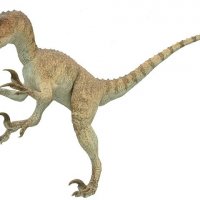 Utahraptor020.jpg