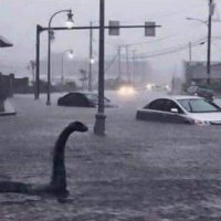 HoustonFlood.jpg