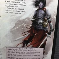 Fallen Aasimar.jpg