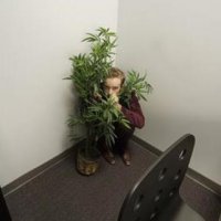 man_hiding_behind_plant_in_office_1801150.jpg