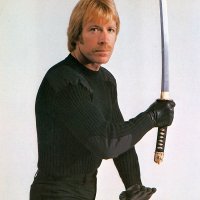 Octagon-Norris.jpg