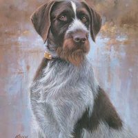 german-shorthair-pointer-dog-art-print-by-jim-killen-1432750559.jpg