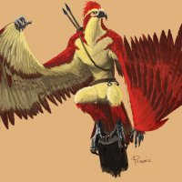 aarakocra concept final.jpg