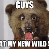 bear1.jpg