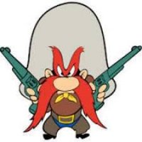 Yosemite Sam.jpg