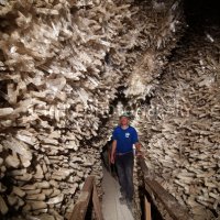 E5800054-Cave_of_Swords,_Naica_Mine,_Mexico-SPL.jpg