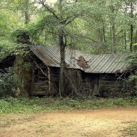 Rana cabin.jpg