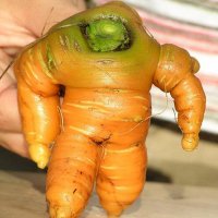 Carrot man.jpg